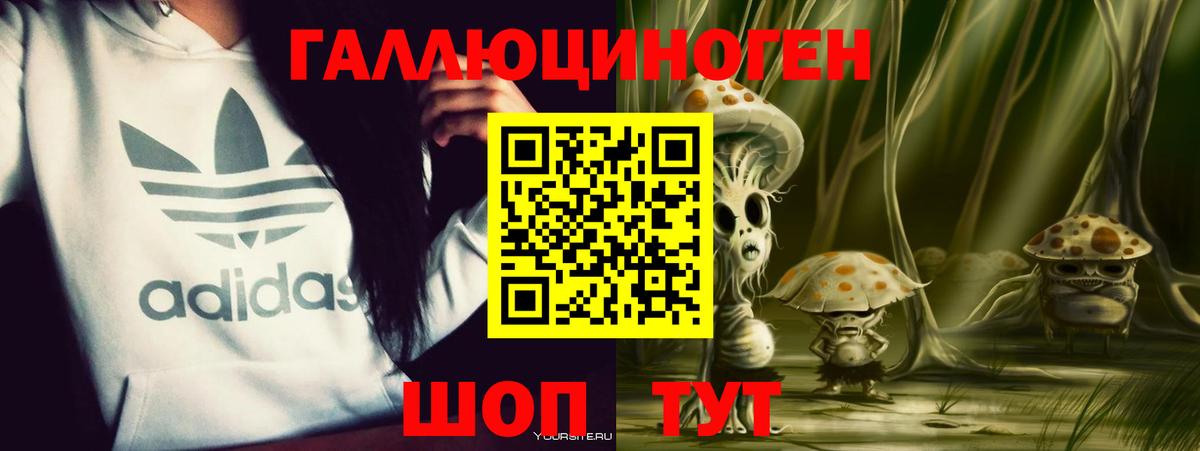 Елизово  Псилоцибиновые грибы Psilocybine cubensis  Вход с VPN  Псилоцибиновые грибы Psilocybe 